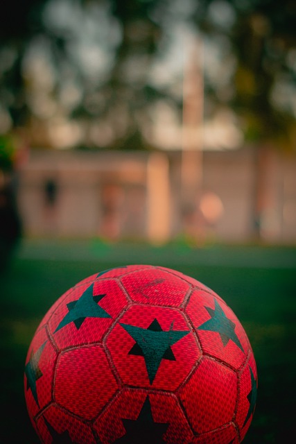 巴西中卫古斯塔沃入籍越南，将改名杜飞龙代表越南队