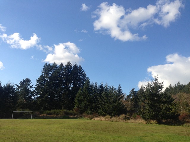 高層必須全