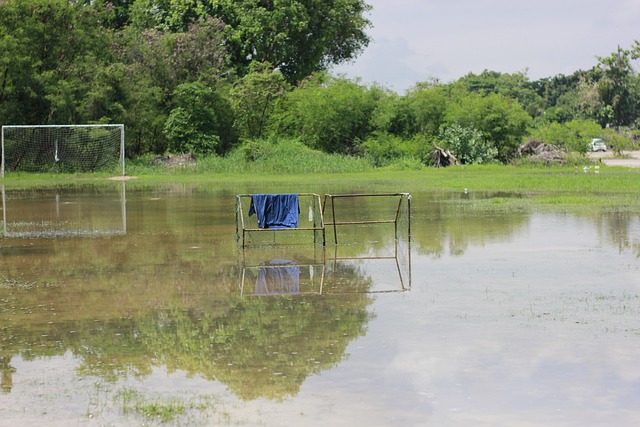 需要增强自 需要增强自