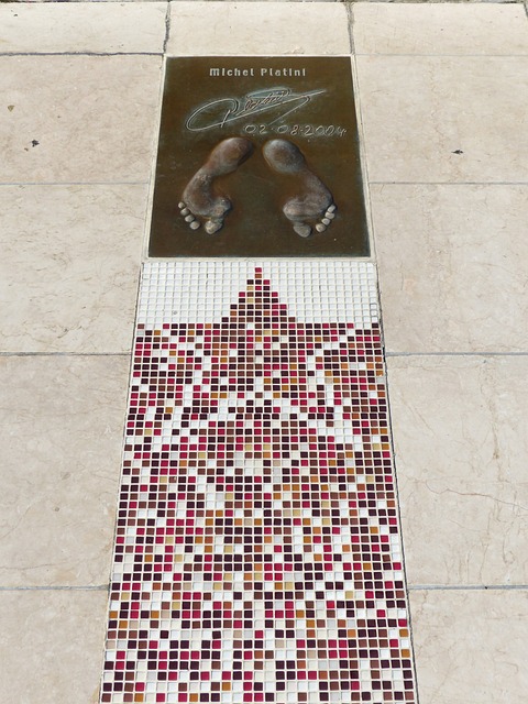 雷恩的主场 雷恩的主场