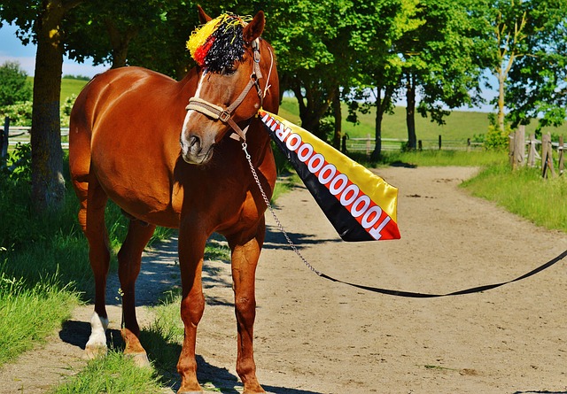 也向整个中 也向整个中