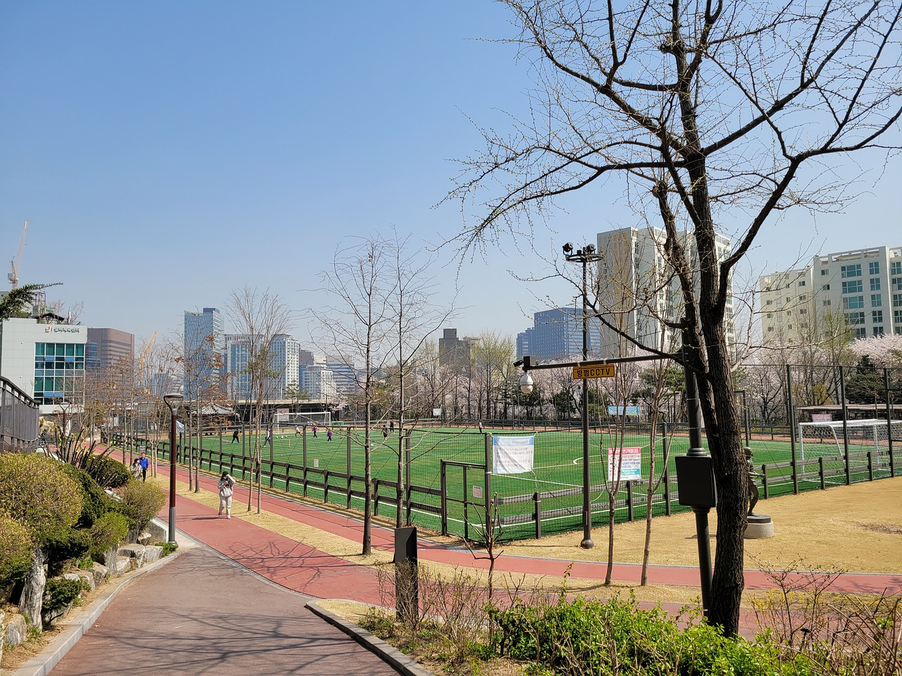 灰熊后悔莫 灰熊后悔莫