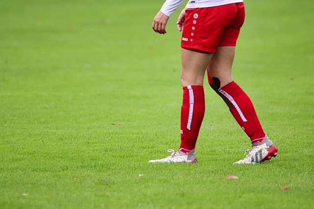 能力展现 能力展现