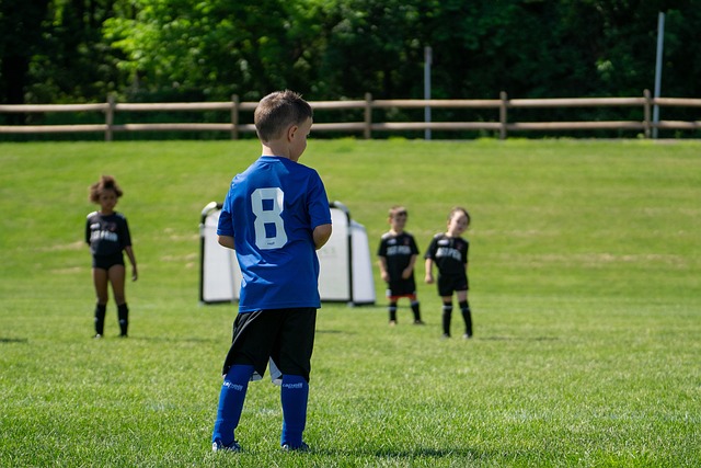 中为队友输 中为队友输